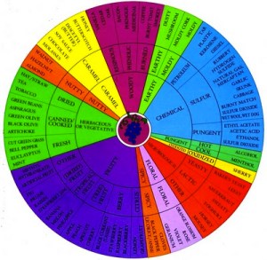 A Wine Aroma Wheel (DREW LAMBERT)
