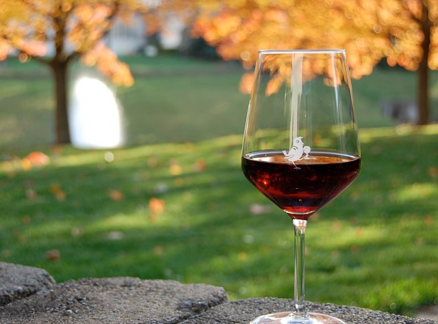 Cheers to National Drink Wine Day!