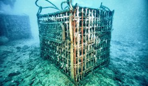 Photo credit to Alessandro Beltrame/AGB Studio Video, NY Times