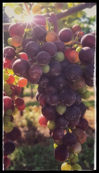 F8B4C92C-19F5-46CA-870B-0083CFEB5A47